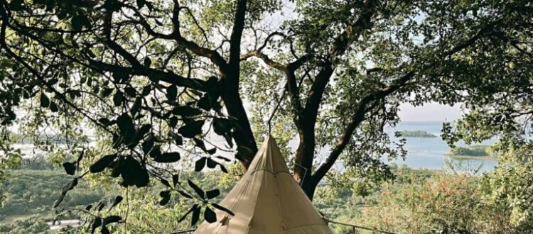 lều ở giữa rừng cây - Review camping Hồ Trị An