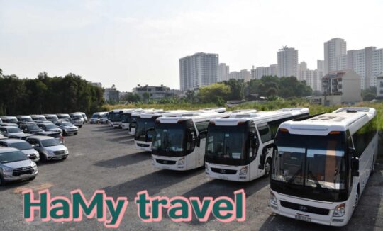 Hamy Travel Công ty cho thuê xe ô tô du lịch tại Sài Gòn uy tín