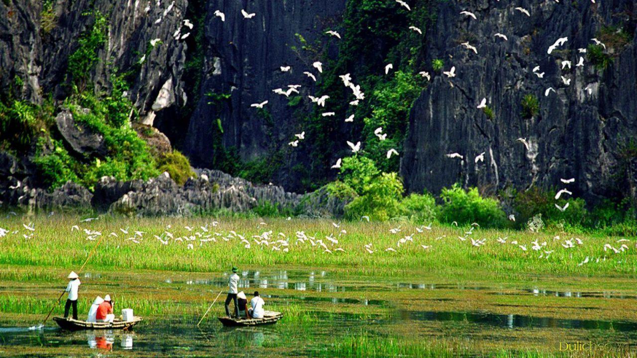 Người lái đò chở người trên sông trên bầu trời đầy chim - Review du lịch Ninh Bình