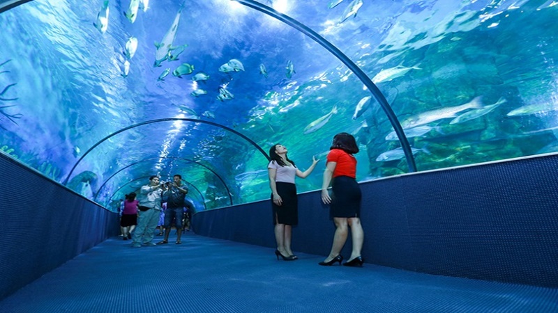 Viện Hải dương học Nha Trang