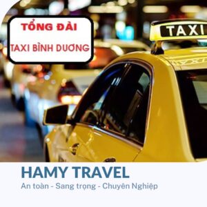 Bắt Taxi Hamy Tại Bình Dương