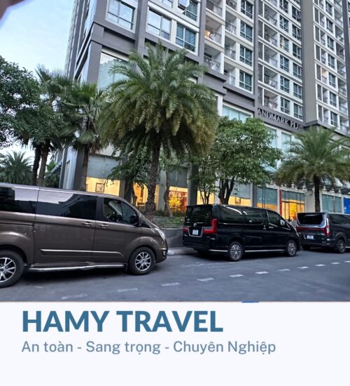 Hamy Travel Dịch Vụ Đón Sân Bay Top 1 Sài Gòn