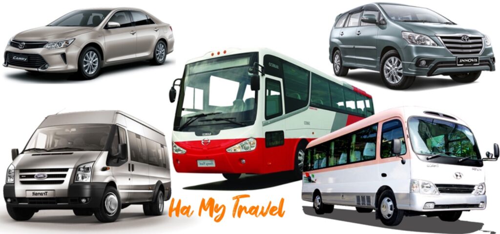 có 5 oto 1 xe gia đình 1 xe khách màu đỏ trắng 1 xe buýt 2 xe du lịchDịch vụ thuê xe Vĩnh Long